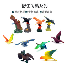 跨境厂家批发新款儿童玩具实心飞鸟老鹰模型摆件仿真动物模型玩具