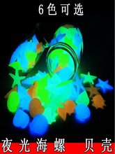 高亮许愿瓶星空瓶彩虹瓶DIY材料荧光贝壳海星海螺夜光石鱼缸装饰