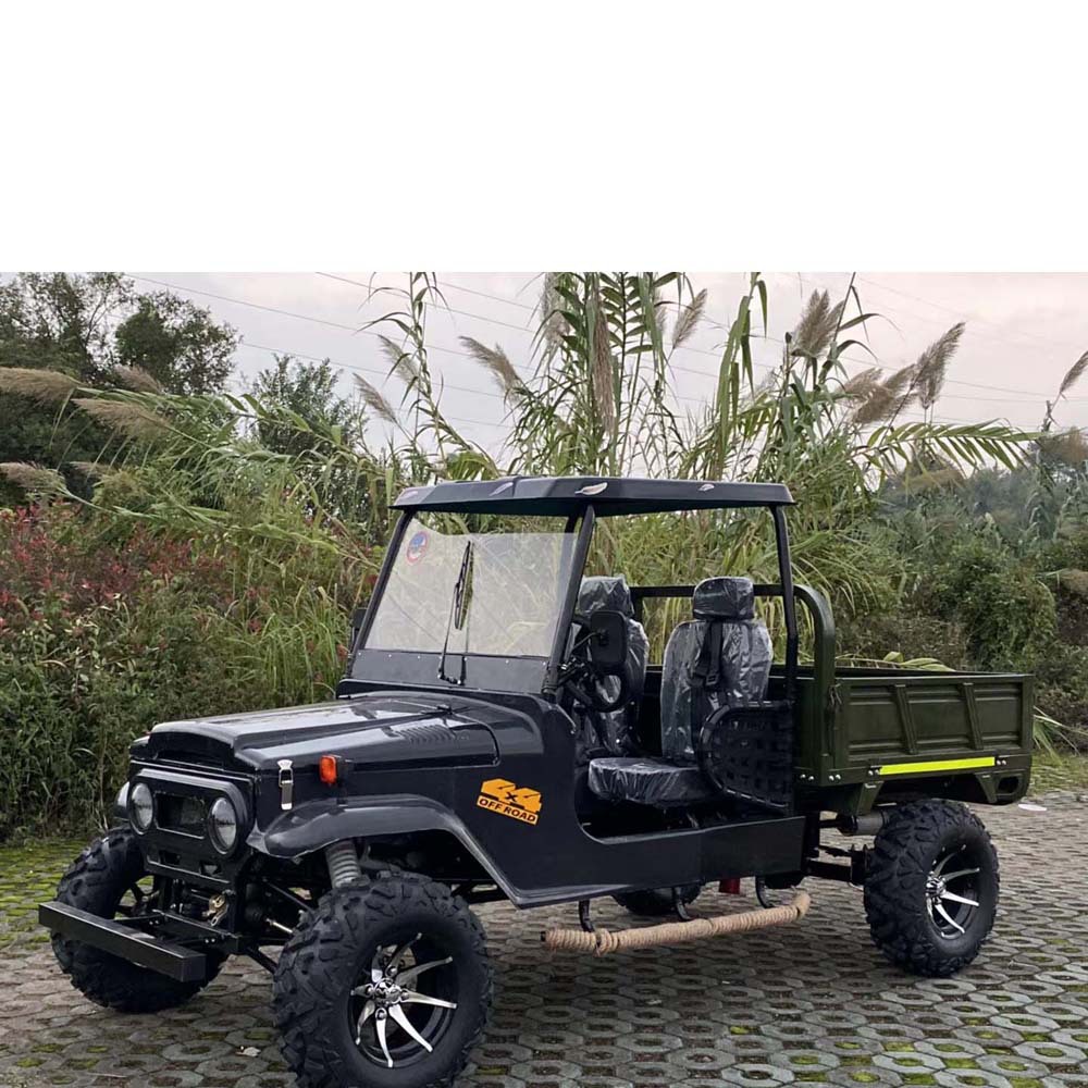 2座带斗 两驱/四驱/电动带车厢越野车