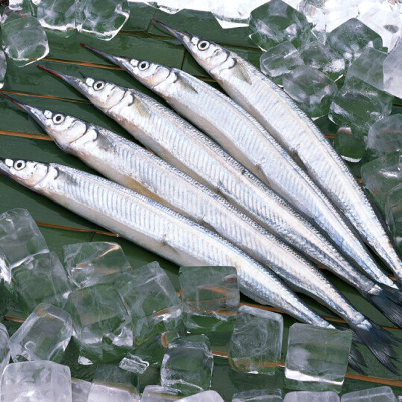 秋刀鱼深海新鲜活冷冻水产马鲛鱼海鲜日式烧烤食材海鱼批发独立站