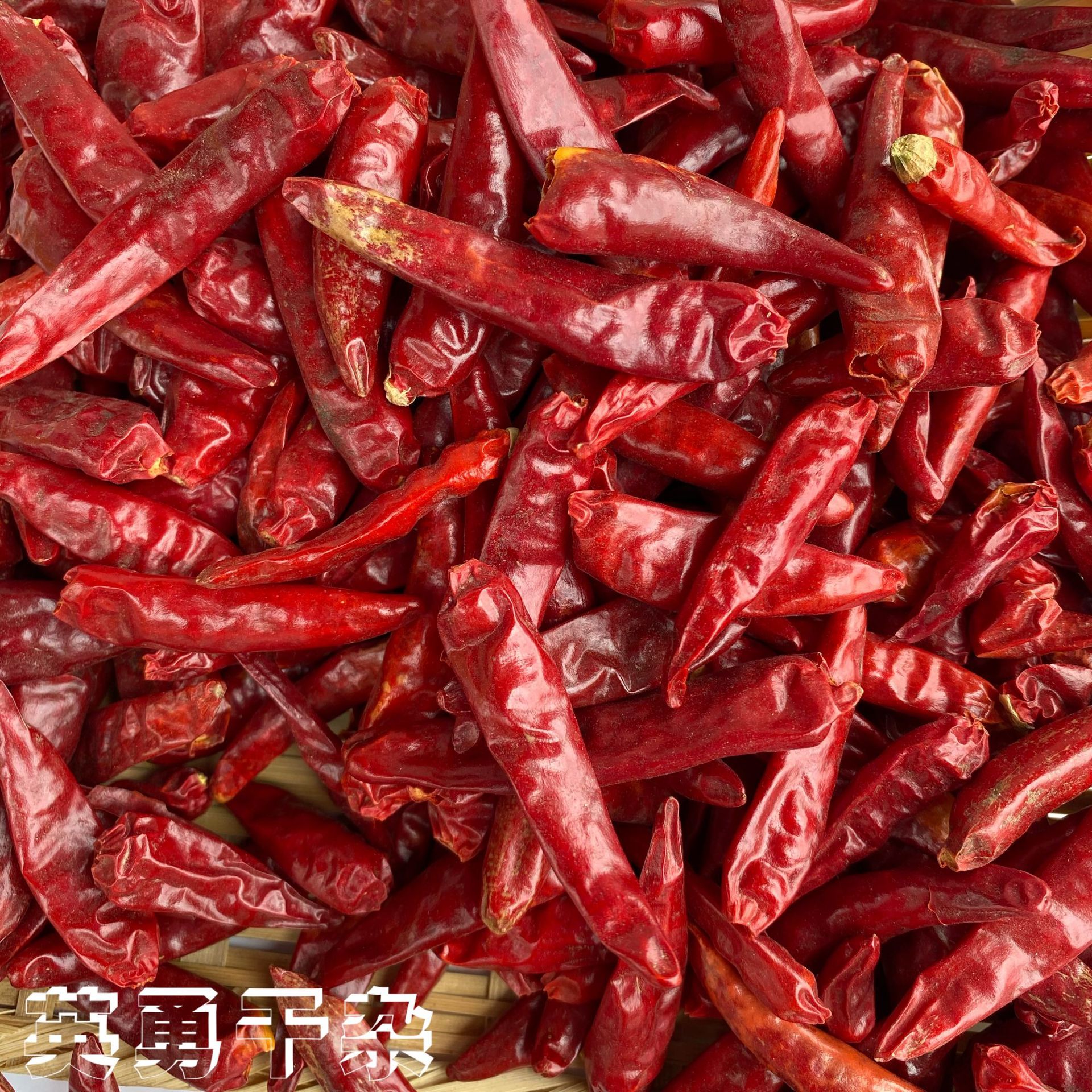 现货供应批发 河南内黄新一代特辣干辣椒 火锅干锅调味料500g