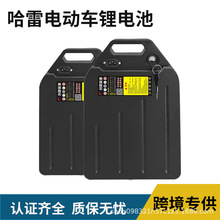 创赢哈雷电动车锂电池订48v10ah12ah48V15ah18ah20ah电瓶通用款式