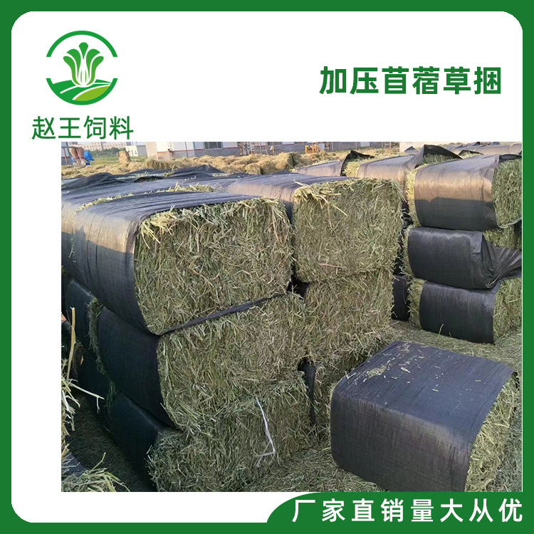 常年现货牛马羊饲草动物园用马场用草奶牛场饲草苜蓿草捆特种养殖