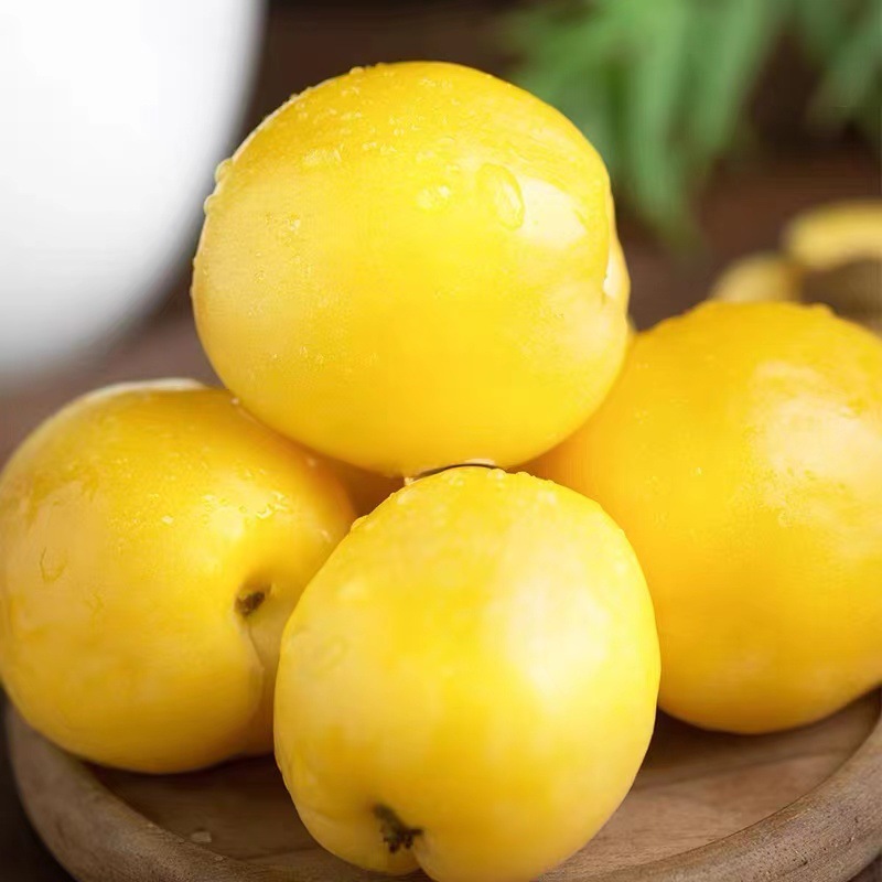 新疆小白杏新鲜水果轮台库车白杏子甜杏特产胜小红杏当季