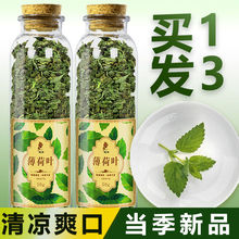 薄荷叶茶新鲜清凉茶泡水食用薄荷叶中药材清新口气薄荷茶叶泡茶