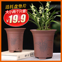 紫砂花盆兰花盆兰花专用花盆君子兰花盆陶瓷花盆