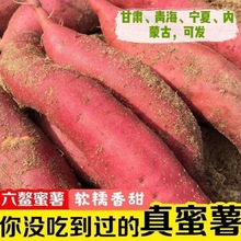 红薯沙地新鲜现挖山芋富硒糖心地瓜番薯代发批发一件代发厂家批发