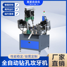 工厂直销双轴数控攻丝机m1-m16 伺服机数控单轴全自动攻牙机