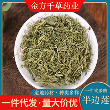 同仁堂半边莲70g中药材特级野生半边连半边花正品半边旗新货中草