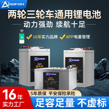 批发两轮车外卖电瓶电动车锂电池48v60v72v三轮车电池磷酸铁锂