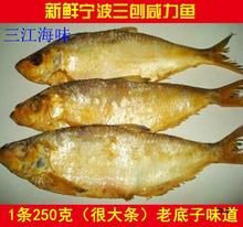 老宁波三刨咸力鱼 咸霉鳓鱼 咸香鱼 咸鱼干咸鳓鱼臭香力鱼250g