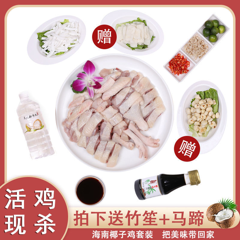 椰子鸡全套配料火锅正宗海南文昌鸡椰子椰青整只切块农家散养母鸡