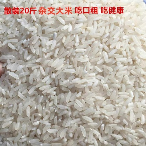 5斤装散装杂交米大米农家杂交米江浙沪皖包邮-阿里巴巴