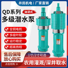 QD多级潜水泵家用220V高扬程小老鼠油浸深井泵380V农用灌溉抽水泵