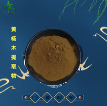 西安青芷批发水溶性多比例黄杨木提取物 浓缩粉量大从优 资质齐全