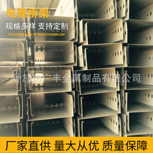 供应防火镀锌电缆桥架双层镀锌工艺快速拼接系统商业综合体标配