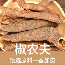 材川五加皮 香皮 南五加皮 香五加皮川菜香料常用调味料 500g