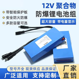 12v聚合物锂电池组大容量24伏移动电源可充电防蜂服电瓶led灯电池