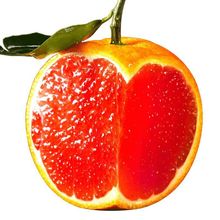 血橙秭归中华红橙子当季新鲜水果红心整箱10红肉脐橙