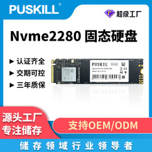 PUSKILL/浦技固态硬盘NVMe2280 1TB 512G 256G SSD PCIE 固态硬盘