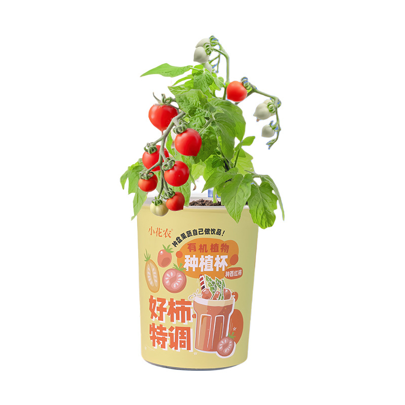 Children's Fruit Vegetable Flower Seed Planting Mini Pot Creative Elementary School Student Educational Early Education Gift Strawberry