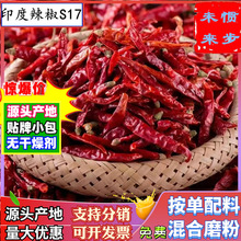 【印度辣椒S17】带帽印度辣椒500g 另有河南辣椒王纯福建辣椒王椒
