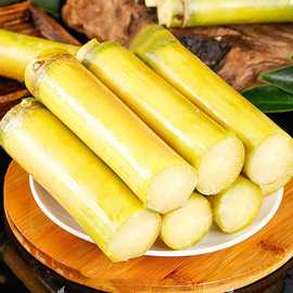 黄皮甘蔗价格-最新黄皮甘蔗价格,批发报价,价格大全 - 阿里巴巴