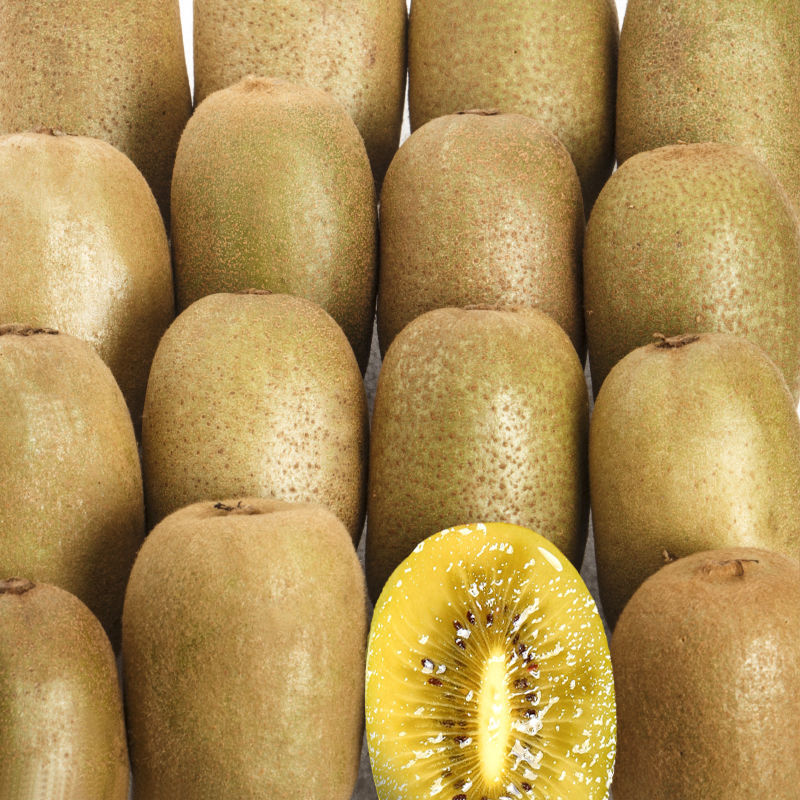 弥猴桃四川蒲江黄心猕猴桃新鲜水果当季整箱大果狝应季奇异果代发