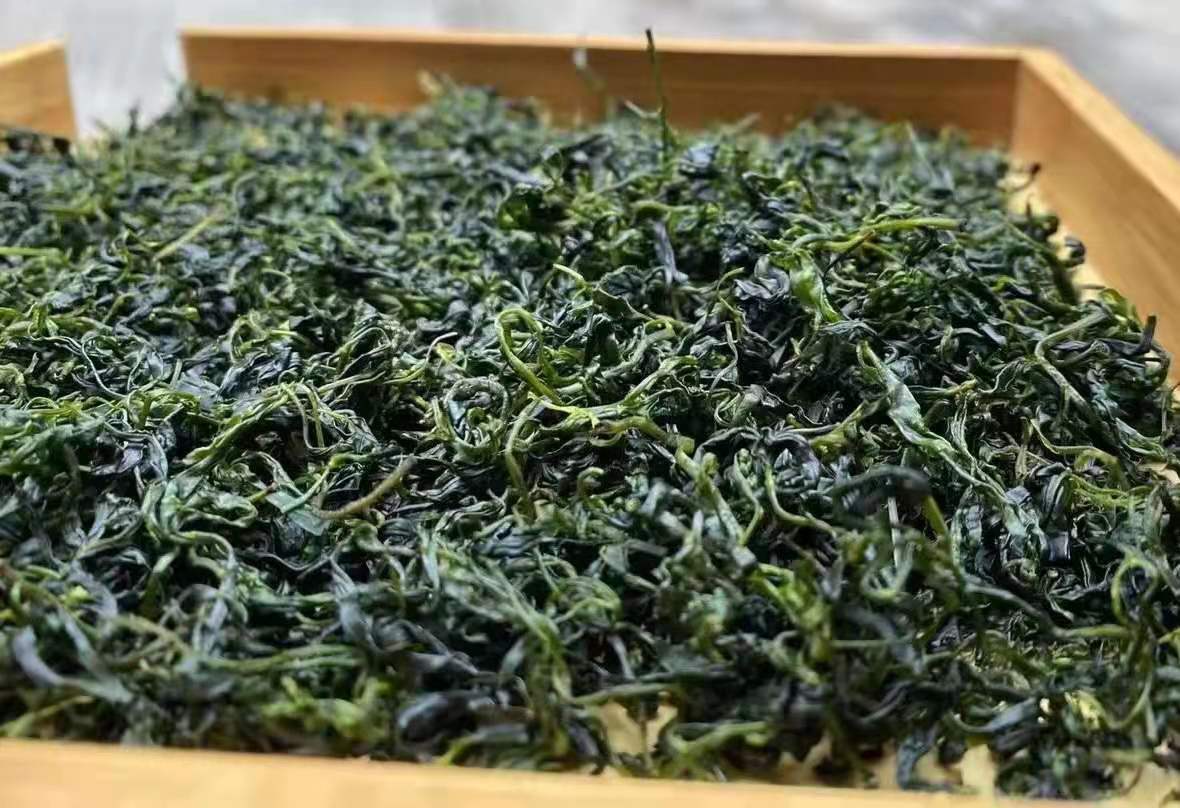 云南苦丁茶-云南苦丁茶厂家,品牌,图片,热帖-阿里巴巴