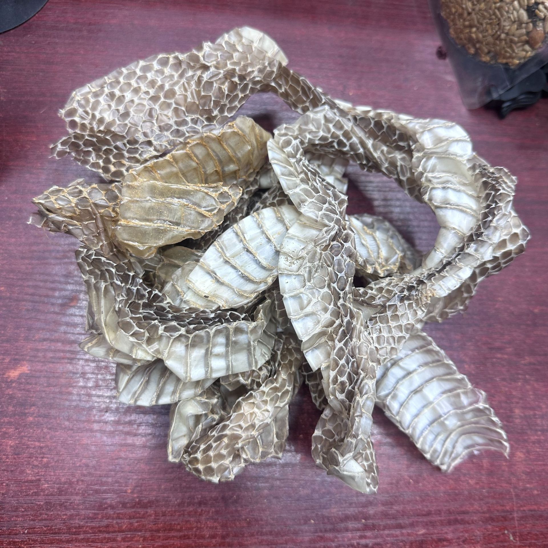 蛇蜕 龙衣 龙衣蛇皮鄄城振兴中药材批发药用清热养生中草药