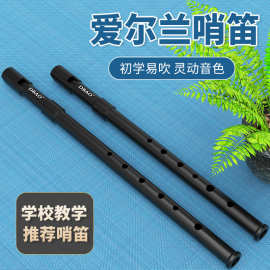 爱尔兰哨笛C调D调笛子初学儿童专业演奏高音直笛竖笛乐器小学生用