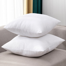 沙发抱枕芯45x45cm枕芯内胆皮50x50cm内芯长方形枕心方形靠垫皮
