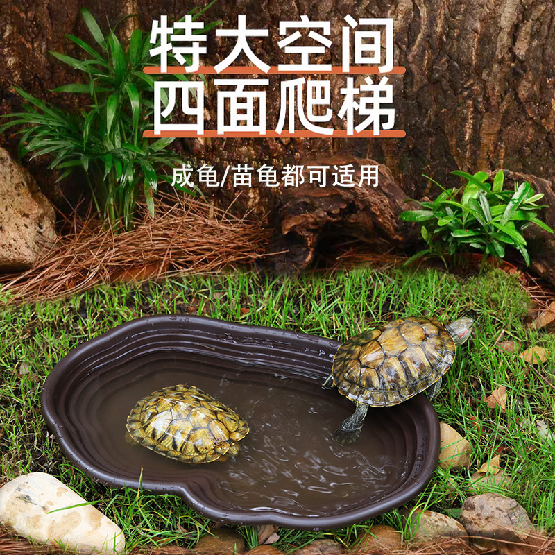 家用大号乌龟泡澡盆带圆孔排水水管水缸龟通用洗澡盆水族爬宠造景