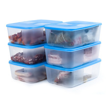 1.7L冰鲜冷冻保鲜盒 长方形冰箱饺子馄饨食物收纳盒可用无