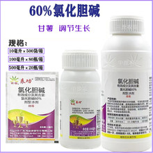 60%氯化胆碱 红薯根茎膨大素 膨大剂地下植物生长调节剂厂家直供