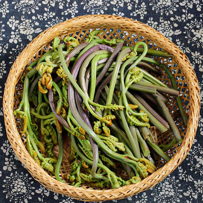 整箱10袋龙爪菜云南山林野菜农家特色食材保鲜蔬菜菜