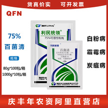 利民 75%百菌清 黄瓜葡萄小麦霜霉病白粉病叶斑病 农药杀菌剂80g