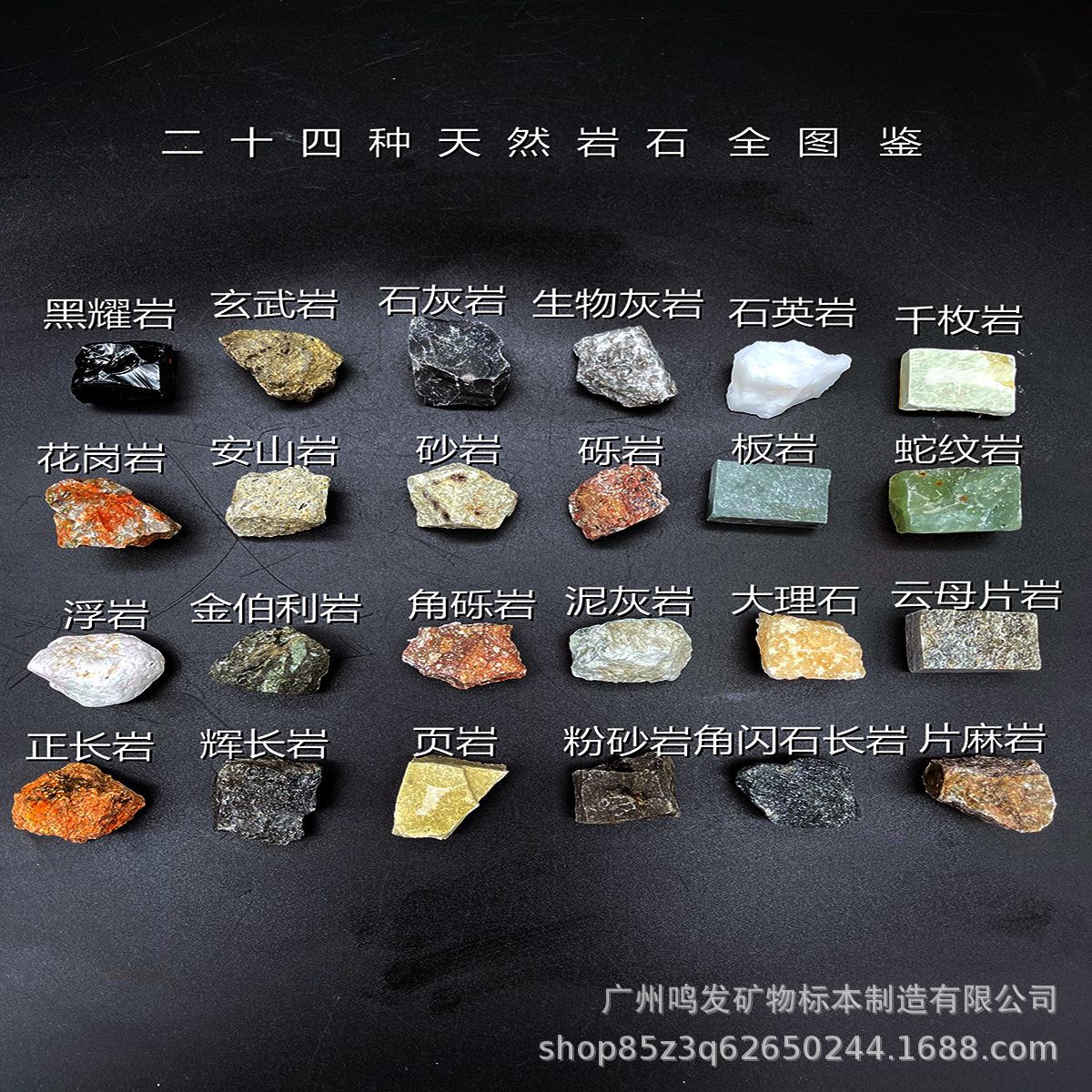 24种24格天然岩石标本套盒 三大类岩石标本火成岩 沉积岩 变质岩