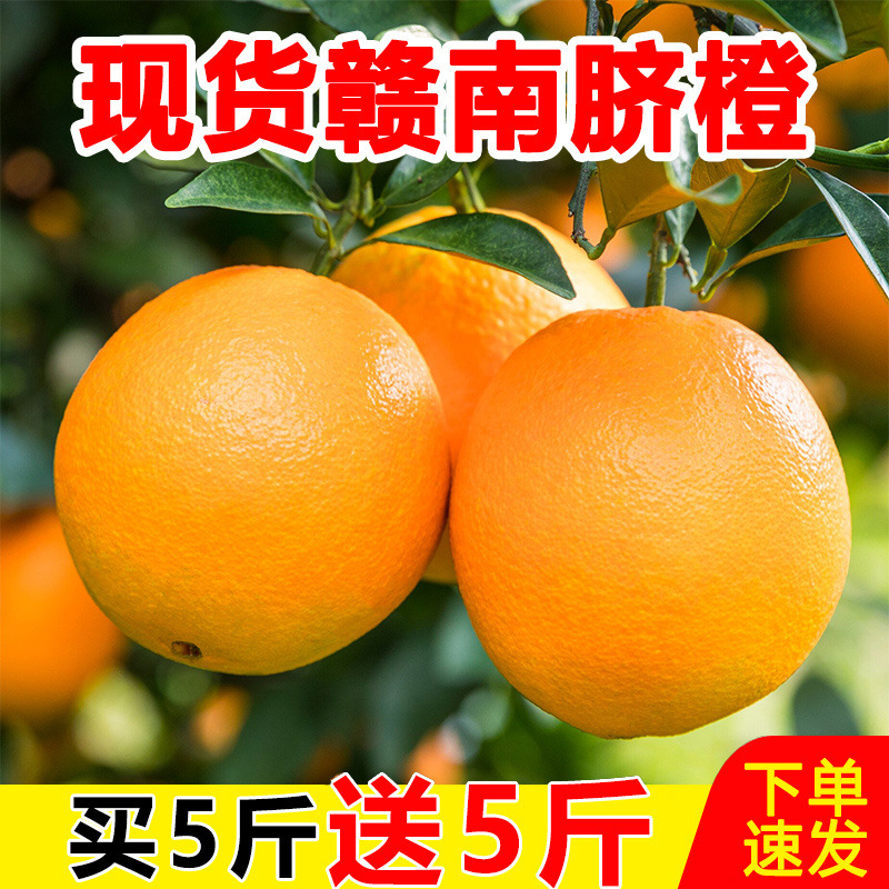 赣南脐橙【】产地直发整箱江西橙子新鲜水果当季冰糖果冻橙亚马逊