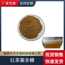 红茶菌多糖 50% 多规格 红茶菌提取物 KG/装 天农供应 欢迎咨询