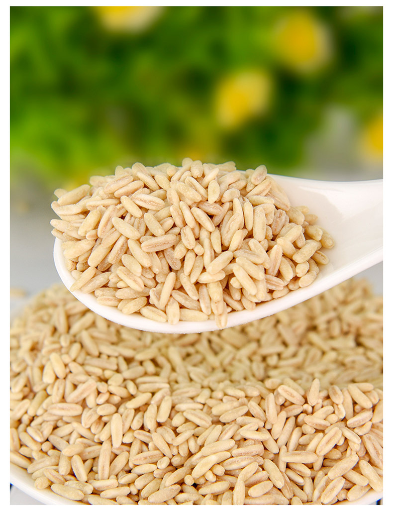 塞久粮燕麦胚芽米全胚芽燕麦米现货批发oem加工定制品质源头厂家