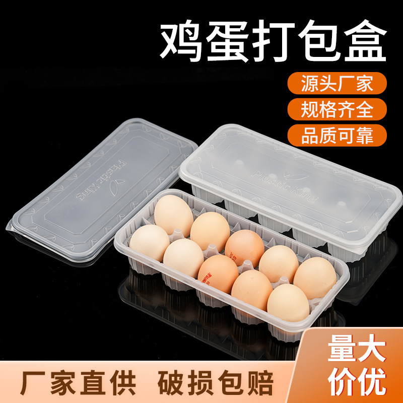 一次性10个装速冻包子早餐盒食品外卖打包盒十格小笼包盒烧卖盒