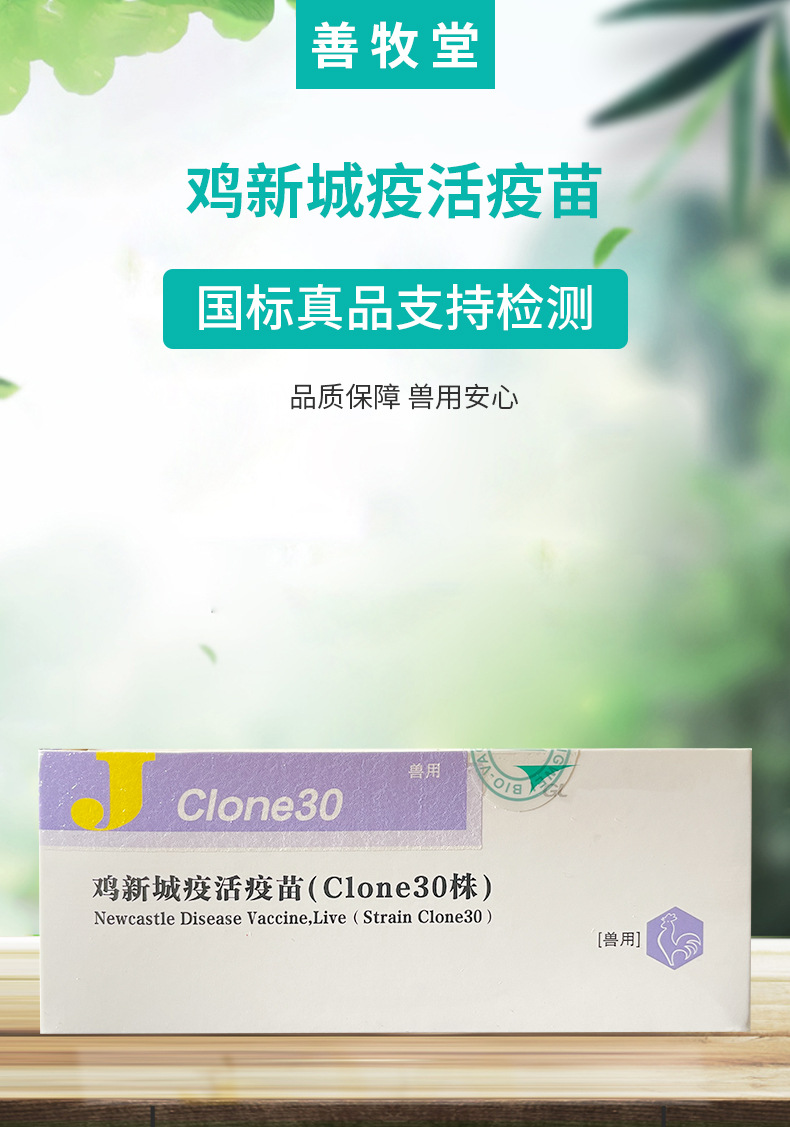 鸡新城疫活疫苗 clone30株 鸡瘟鸽子疫苗1000羽鸡 疫苗禽用批发