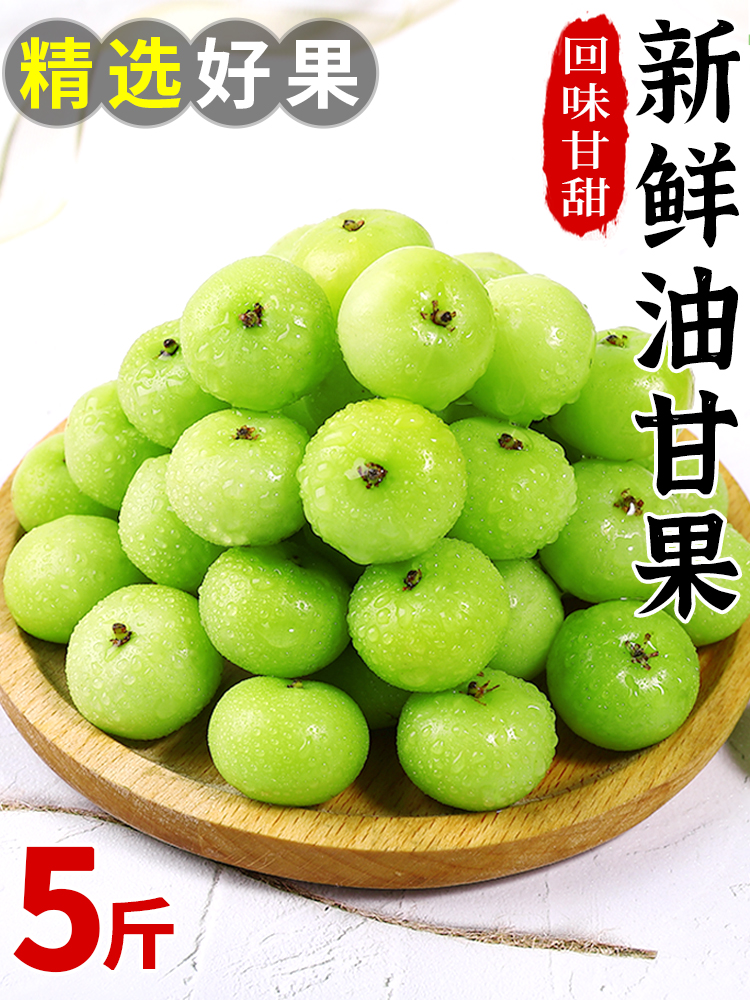 新鲜油甘果5斤余甘果牛甘子当季现摘油柑滇橄榄孕妇酸甜水果包邮