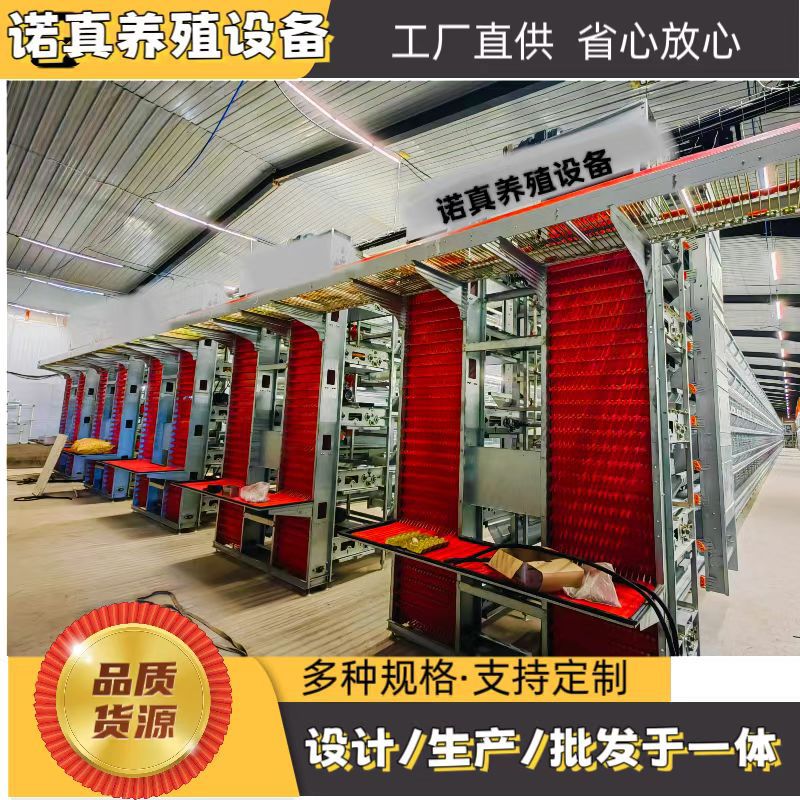 小层叠蛋鸡笼 全自动化养鸡设备 捡蛋清理机笼养系统多层养鸡专用