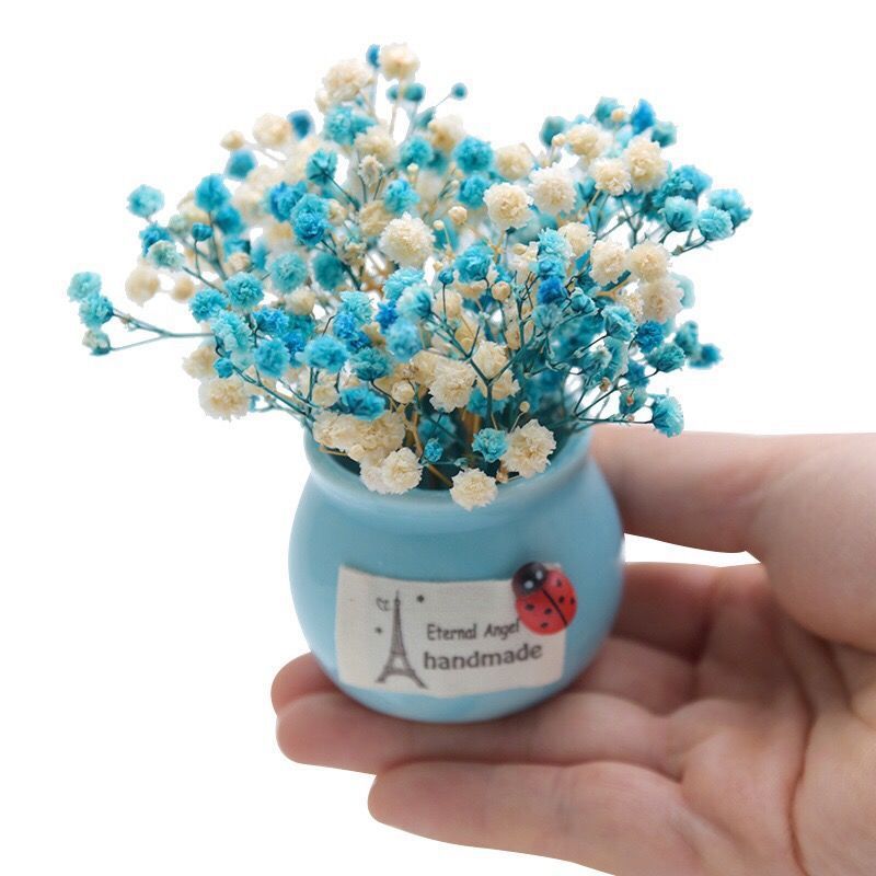 Mini Preserved Fresh Flower Starry Dried Flower Small Vase Home Desk Car Pot Decoration for Birthdays and Valentine's Days Gift