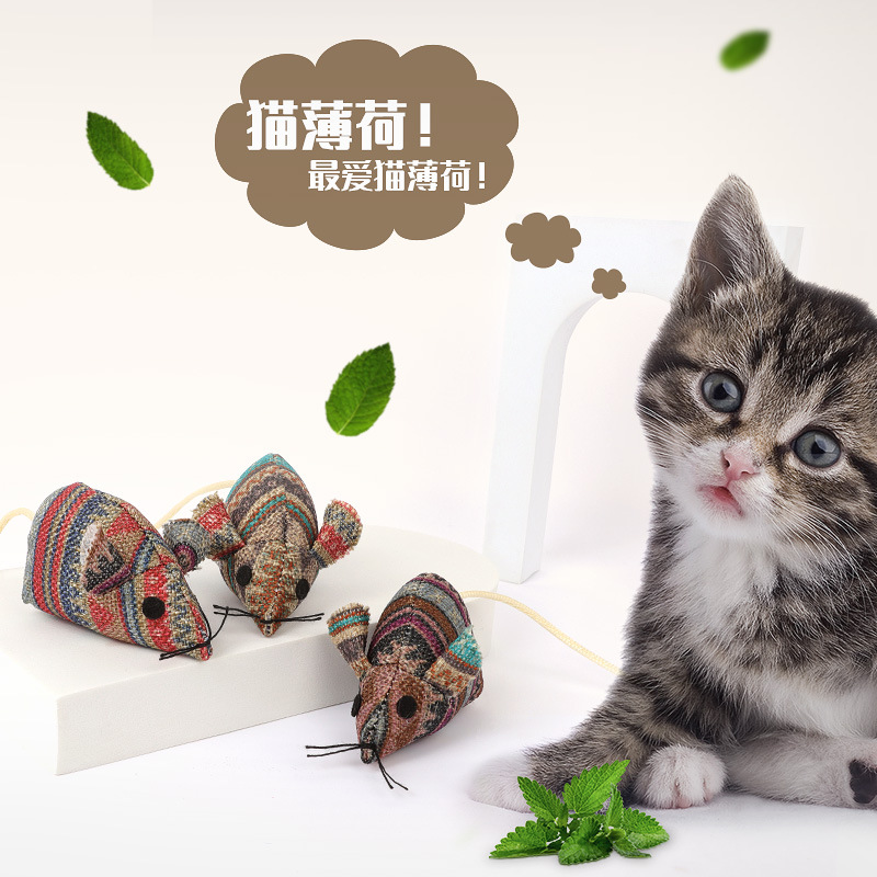 New Cat Bite Toy Plush Simulation Mouse Catnip to Breath Self-Hi Bite-Resistant Cat Supplies