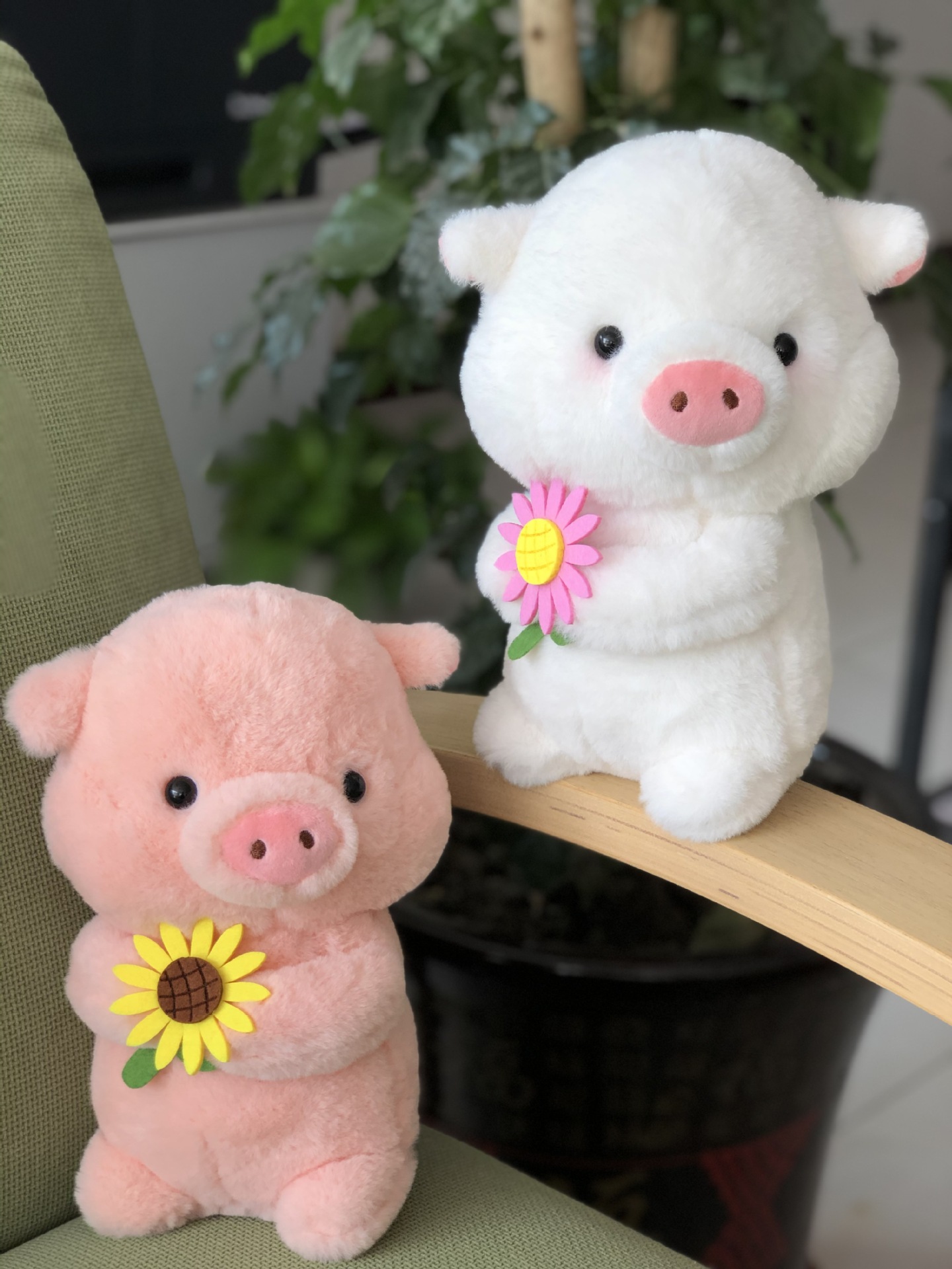 正版源头工厂网红抱花田园猪可爱呆萌少女系礼物毛绒玩具婚庆节日