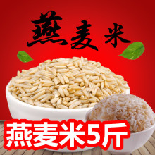 新燕麦米 秋季燕麦仁农家东北燕麦粒蒸饭煮粥 5斤散装 包邮