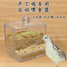 芦丁鸡喂食器自动小鸡食盒食槽食盆食罐饲料盒下料饮水喂水器批发